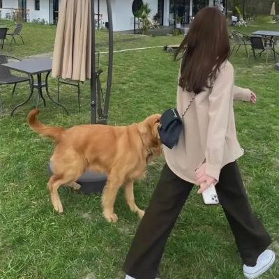 大辫子的诱惑