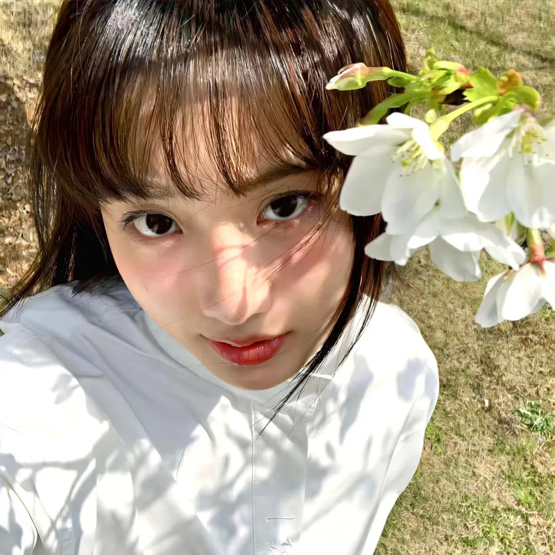 红尾鸽